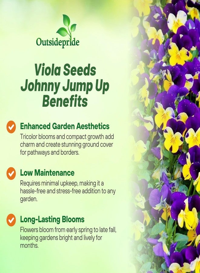 Outsidepride Johnny Jump Up Viola Wild Flower Seeds - 5000 Pcs Easy-to-Grow, Compact & Hardy Perennial Seeds for Planting Outdoors, Ideal for Pollinators, Garden Beds, Containers, & Hanging Baskets - Image 3